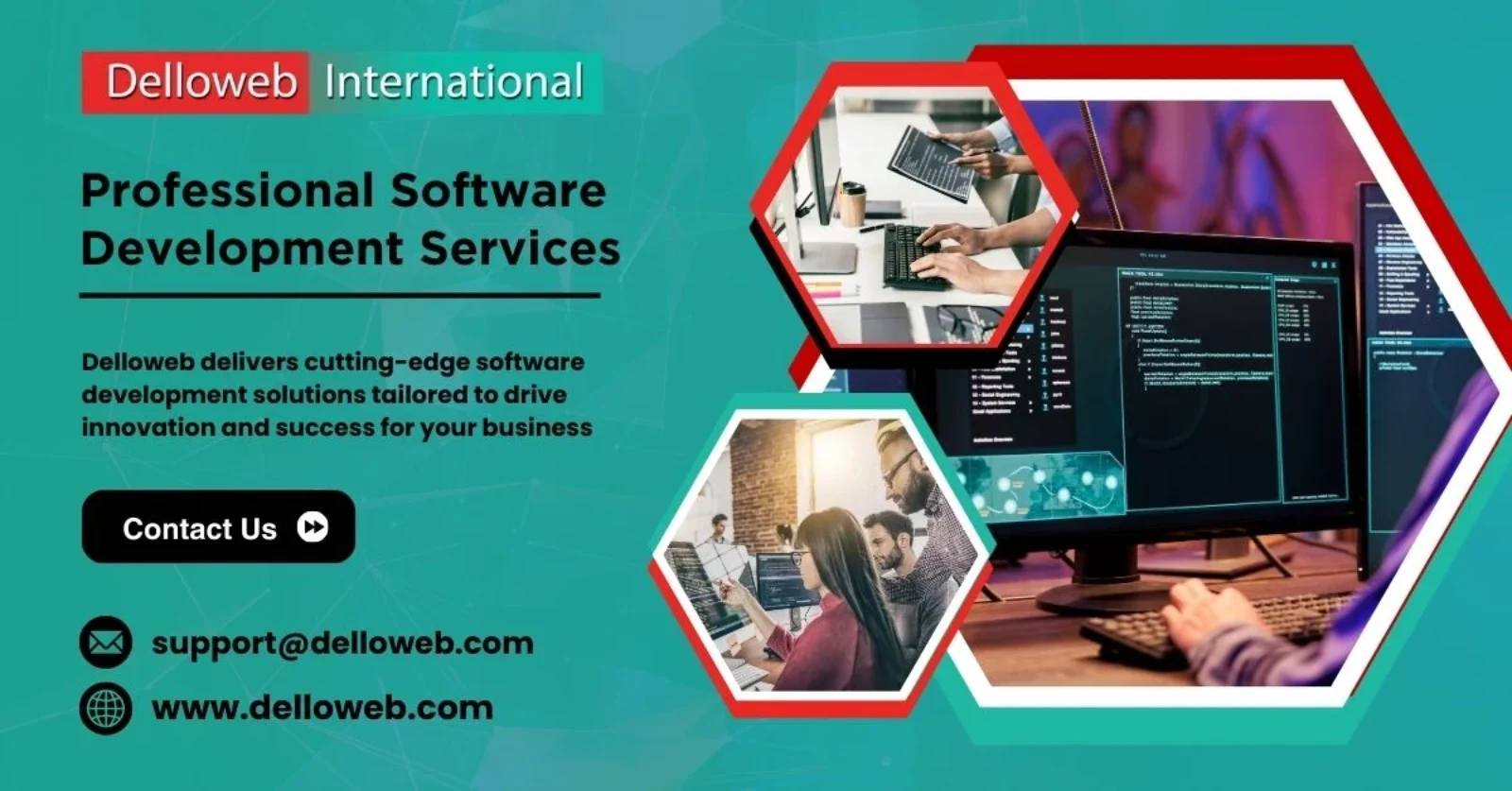 Software Development Service by Delloweb International in USA