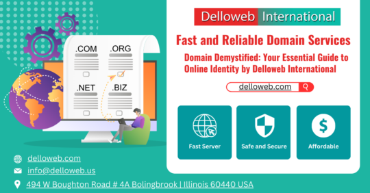 Domain: A Comprehensive Guide for Beginners Delloweb International