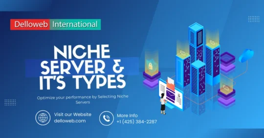 Unlock the potential of specialized workloads with our guide to niche servers types.