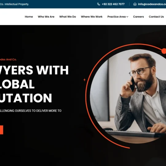 Codexandco portfolio 1