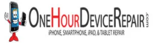 Delloweb International 169 One-Hour-Device-Repair by Delloweb International