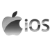 IOS Application Development-Delloweb International